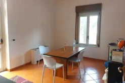 #2638559 Complesso artigianale con area edificabile