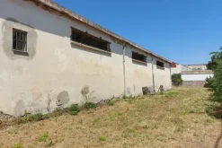 #19448 Complesso artigianale con cortile e pertinenze