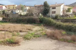 #19451 Complesso artigianale con cortile e pertinenze