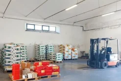 #21452 Complesso artigianale con cortile e pertinenze
