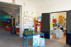#20410 Complesso artigianale con cortile e pertinenze