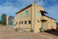#19443 Complesso artigianale con cortile e pertinenze