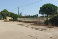 #19430 Complesso artigianale con cortile e pertinenze