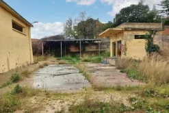 #19444 Complesso artigianale con cortile e pertinenze