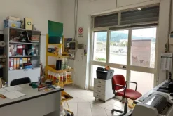 #21460 Complesso artigianale con cortile e pertinenze