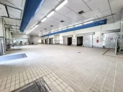 #2536471 Complesso aziendale destinato alla macellazione di suini