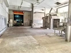 #2536471 Complesso aziendale destinato alla macellazione di suini