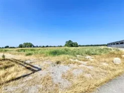 #2536471 Complesso aziendale destinato alla macellazione di suini