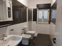#18407 Complesso commerciale composto da capannoni, tettoie ed un edificio con uffici ed abitazione