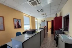 #14495 Complesso commerciale con depositi esterni