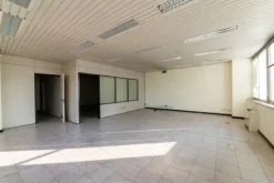 #15091 Complesso direzionale con area di pertinenza esclusiva