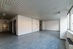 #15091 Complesso direzionale con area di pertinenza esclusiva