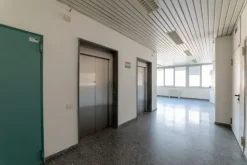 #15091 Complesso direzionale con area di pertinenza esclusiva