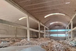 #21537 Complesso industriale ad uso opificio