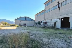#21537 Complesso industriale ad uso opificio