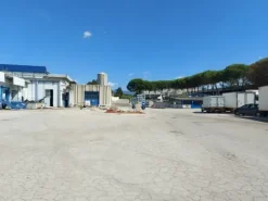 #18560 Complesso industriale con aree annesse