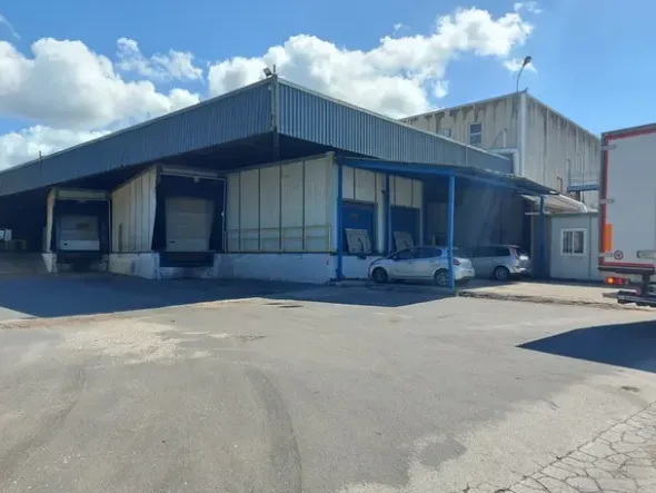 #18560 Complesso industriale con aree annesse