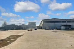 #19873 Complesso industriale con area scoperta