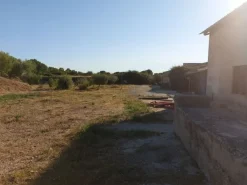 #10534 Complesso industriale con capacità edificatoria e terreni agricoli