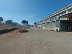 #23592 Complesso industriale con corte esclusiva