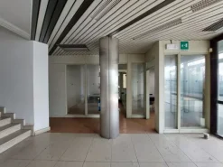 #19861 Complesso industriale con pertinenze