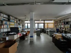 #19861 Complesso industriale con pertinenze