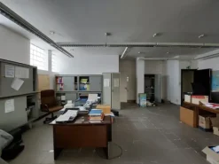 #19861 Complesso industriale con pertinenze