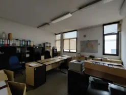#19861 Complesso industriale con pertinenze