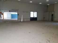 #24540 Complesso produttivo con palazzina uffici