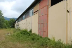 #21076 Complesso rurale con capannoni da ristrutturare