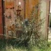 148#4390 Container