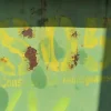 2055#3561 Container BTE con coperchio