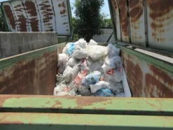 2055#3561 Container BTE con coperchio