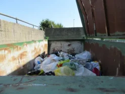 2141#3561 Container con coperchio