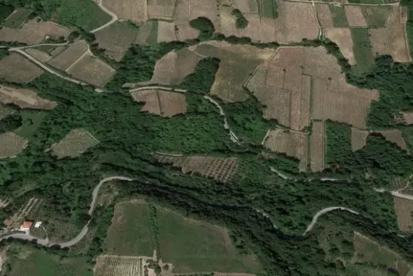 #20849 Diritto del livellario su terreno agricolo di 8920 mq