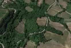 #20849 Diritto del livellario su terreno agricolo di 8920 mq