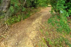 #20849 Diritto del livellario su terreno agricolo di 8920 mq