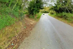 #20849 Diritto del livellario su terreno agricolo di 8920 mq