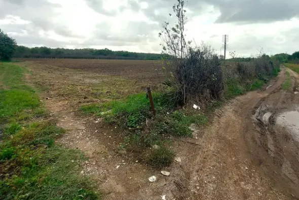 #24733 Due appezzamenti agricoli in zona rurale