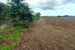#24733 Due appezzamenti agricoli in zona rurale