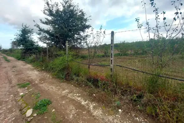 #24733 Due appezzamenti agricoli in zona rurale