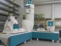 DUE MULINI A MARTELLO 9-10 T/H CAD