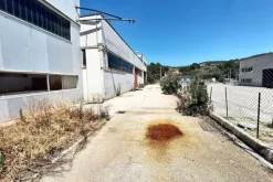 #24212 Due opifici industriali con impianto fotovoltaico