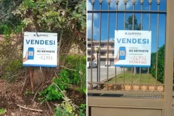 #24735 Due terreni agricoli e frustolo commerciale