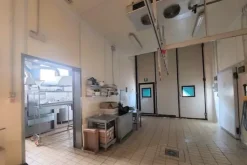 #19982 Edificio artigianale con cortile e celle frigorifere