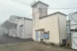 #2537584 Edificio artigianale con uffici e pertinenze
