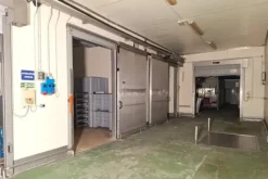 #2537797 Edificio produttivo con celle e attrezzature