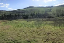 #10055 Ex complesso di stoccaggio rifiuti con area di pertinenza