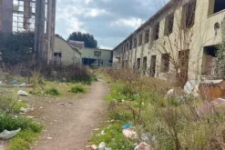 #15537 Ex complesso industriale di 33.750 mq