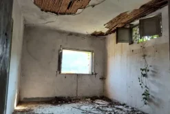 #22066 Ex stabilimento industriale con terreno